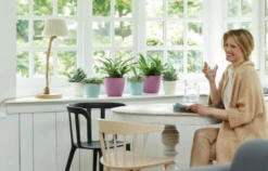 Elho Brussels Rund 14 Cm, Weiß -Deutschland Gartenbedarf Verkäufe 2024 elho brussels rund 14 cm lila 1671689 de