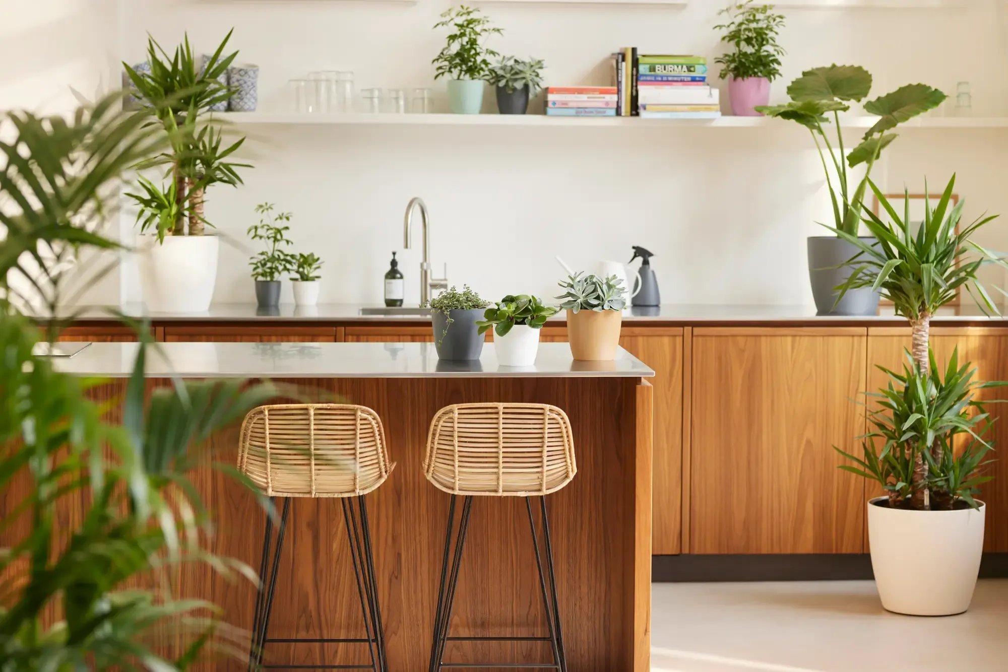 Elho Brussels Rund Mini 13 Cm, Anthrazit 3 Elho Brussels Rund Mini 13 Cm, Anthrazit