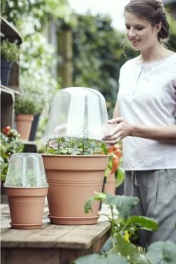 Elho Green Basics Anzucht Haus Rund, 30 Cm 11 Elho Green Basics Anzucht Haus Rund, 30 Cm -Deutschland Gartenbedarf Verkäufe 2024 elho green basics anzucht haus rund 1666627 de