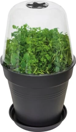 Elho Green Basics Anzucht Haus Rund, 30 Cm 13 Elho Green Basics Anzucht Haus Rund, 30 Cm -Deutschland Gartenbedarf Verkäufe 2024 elho green basics anzucht haus rund 1666630 de