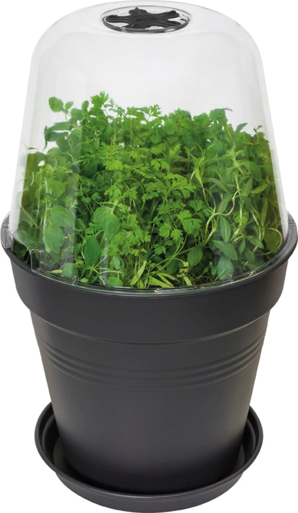 Elho Green Basics Anzucht Haus Rund, 30 Cm 8 Elho Green Basics Anzucht Haus Rund, 30 Cm – Bild 6