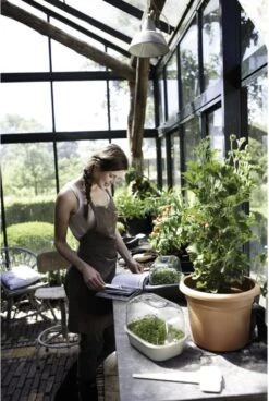 Elho Green Basics Anzucht-Set - Schwarz 30 Elho Green Basics Anzucht-Set - Schwarz -Deutschland Gartenbedarf Verkäufe 2024 elho green basics anzucht set schwarz 1684716 de