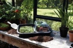 Elho Green Basics Anzucht Unterlage, Schwarz 13 Elho Green Basics Anzucht Unterlage, Schwarz -Deutschland Gartenbedarf Verkäufe 2024 elho green basics anzucht unterlage 1 stueck 587156 de