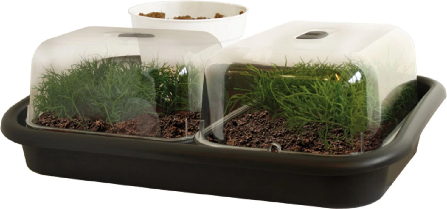 Elho Green Basics Anzucht Unterlage, Schwarz 5 Elho Green Basics Anzucht Unterlage, Schwarz – Bild 3