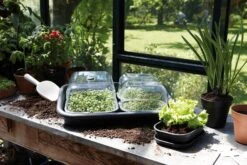 Elho Green Basics Anzucht Unterlage, Schwarz 11 Elho Green Basics Anzucht Unterlage, Schwarz -Deutschland Gartenbedarf Verkäufe 2024 elho green basics anzucht unterlage 892063 de