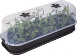 Elho Green Basics Anzuchthaus-Set L 15 Elho Green Basics Anzuchthaus-Set L -Deutschland Gartenbedarf Verkäufe 2024 elho green basics anzuchthaus set l crna 1168127 de