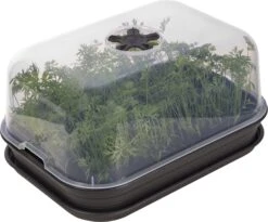 Elho Green Basics Anzuchthaus-Set M