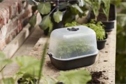 Elho Green Basics Anzuchthaus-Set S -Deutschland Gartenbedarf Verkäufe 2024 elho green basics anzuchthaus set s 1677524 de