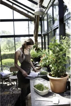 Elho Green Basics Anzuchthaus-Set S -Deutschland Gartenbedarf Verkäufe 2024 elho green basics anzuchthaus set s 1677525 de