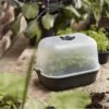 Elho Green Basics Anzuchtschale S, Lebhaft Schwarz -Deutschland Gartenbedarf Verkäufe 2024 elho green basics anzuchtschale s 1666617 de