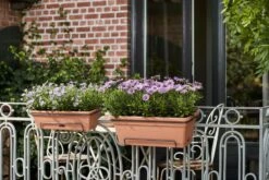 Elho Green Basics Balkonkasten Xl Allin1 55 Cm, Schwarz