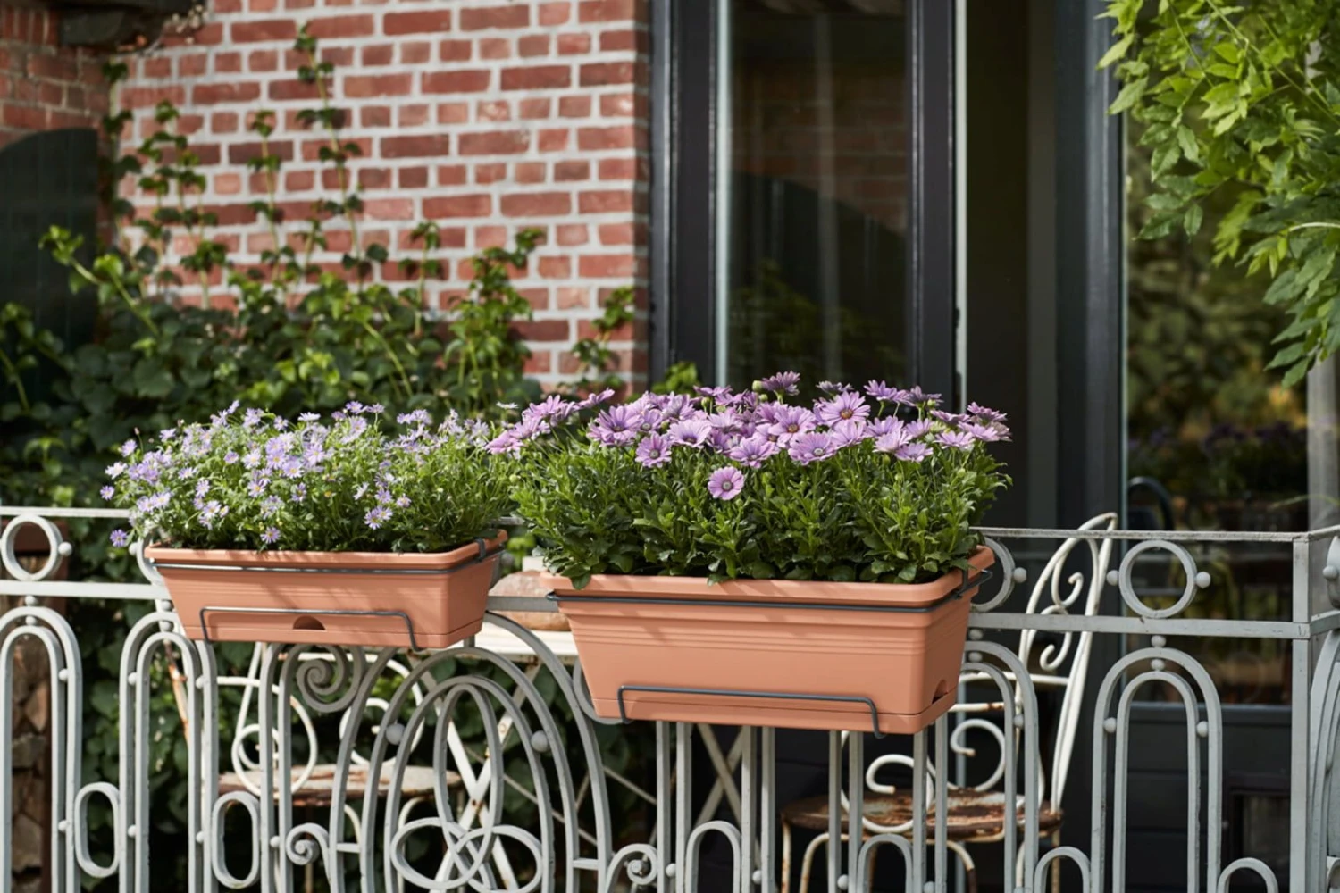 Elho Green Basics Balkonkasten Xl Allin1 55 Cm, Schwarz 3 Elho Green Basics Balkonkasten Xl Allin1 55 Cm, Schwarz