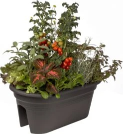 Elho Green Basics Flower Bridge 55 Cm, Schwarz