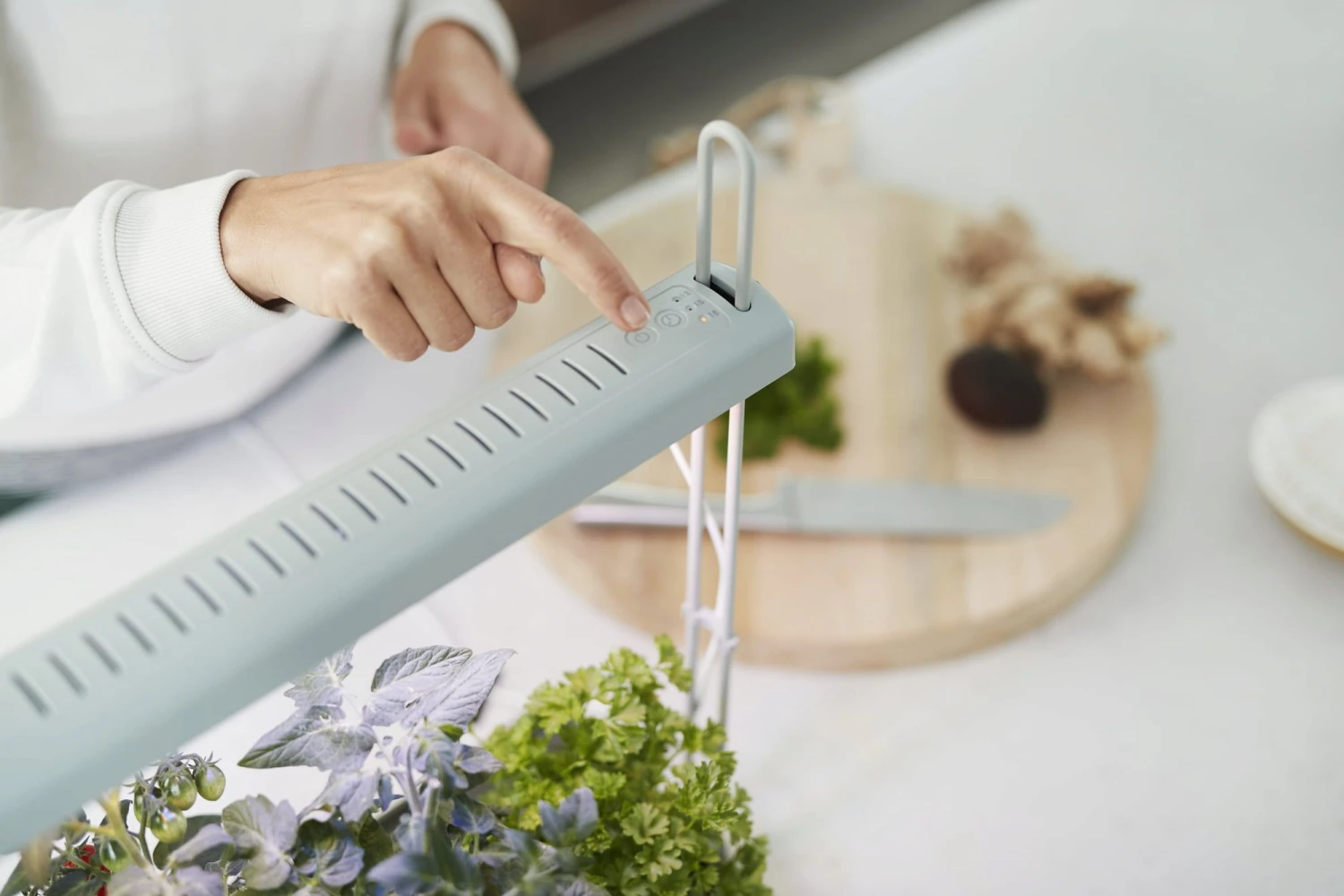 Elho Green Basics Light Garden 5 Elho Green Basics Light Garden – Bild 3