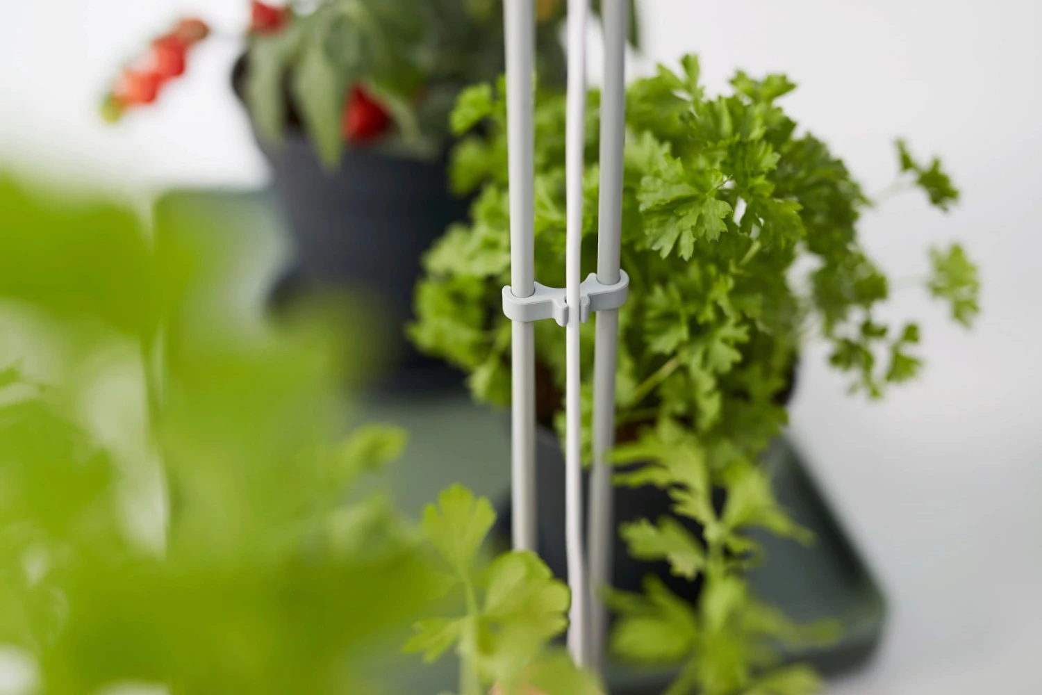 Elho Green Basics Light Garden 11 Elho Green Basics Light Garden – Bild 9