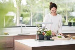 Elho Green Basics Light Garden 18 Elho Green Basics Light Garden -Deutschland Gartenbedarf Verkäufe 2024 elho green basics light garden 1 stk 695098 de