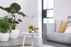 Elho Green Basics Pflanzenbeleuchtung 14 Elho Green Basics Pflanzenbeleuchtung -Deutschland Gartenbedarf Verkäufe 2024 elho green basics pflanzenbeleuchtung 1 stk 695398 de