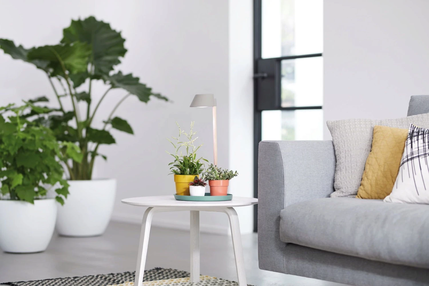 Elho Green Basics Pflanzenbeleuchtung 7 Elho Green Basics Pflanzenbeleuchtung – Bild 5