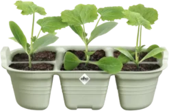 Elho Green Basics Saatschale 22 Cm -Deutschland Gartenbedarf Verkäufe 2024 elho green basics saatschale 22 cm 1683669 de