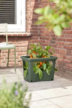 Elho Green Basics Stack & Grow Large, Laubgrün 17 Elho Green Basics Stack & Grow Large, Laubgrün -Deutschland Gartenbedarf Verkäufe 2024 elho green basics stack grow large laubgruen 1178348 de