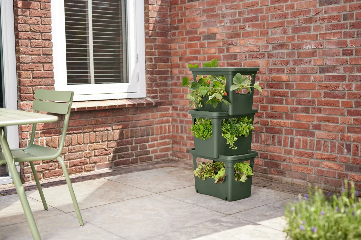 Elho Green Basics Stack & Grow Large, Laubgrün 11 Elho Green Basics Stack & Grow Large, Laubgrün – Bild 9