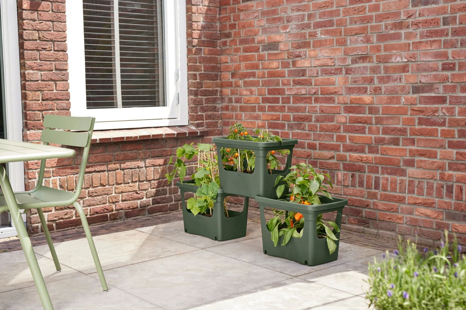 Elho Green Basics Stack & Grow Large, Laubgrün 4 Elho Green Basics Stack & Grow Large, Laubgrün – Bild 2