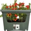 Elho Green Basics Stack & Grow Large, Laubgrün -Deutschland Gartenbedarf Verkäufe 2024 elho green basics stack grow large vaextgroen 1677589 de