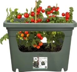 Elho Green Basics Stack & Grow Large, Laubgrün
