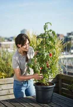 Elho Green Basics Tomatentopf 33 Cm, Schwarz -Deutschland Gartenbedarf Verkäufe 2024 elho green basics tomatentopf 33 cm schwarz 695238 de