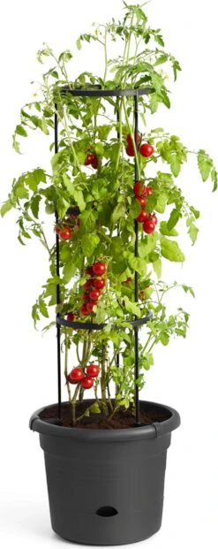 Elho Green Basics Tomatentopf 33 Cm, Schwarz -Deutschland Gartenbedarf Verkäufe 2024 elho green basics tomatentopf 33 cm svart 1669262 de