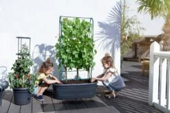 Elho Green Basics Veggie Wall 80 Cm 16 Elho Green Basics Veggie Wall 80 Cm -Deutschland Gartenbedarf Verkäufe 2024 elho green basics veggie wall 80 cm 1 st 1671238 de