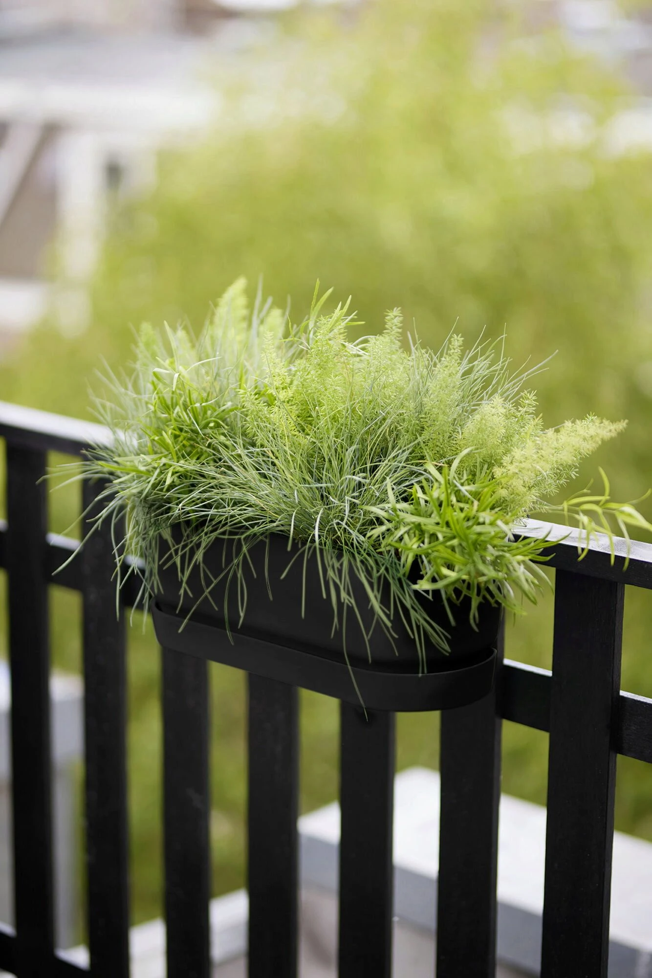 Elho Greenville Easy Balcony 52 Cm, Living Schwarz 4 Elho Greenville Easy Balcony 52 Cm, Living Schwarz – Bild 2