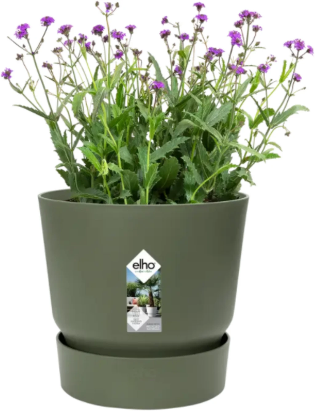 Elho Greenville Topf Rund 16 Cm, Laubgrün 9 Elho Greenville Topf Rund 16 Cm, Laubgrün – Bild 7