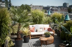 Elho Greenville Topf Rund 25 Cm, Lebhaft Schwarz 8 Elho Greenville Topf Rund 25 Cm, Lebhaft Schwarz -Deutschland Gartenbedarf Verkäufe 2024 elho greenville topf rund 25 cm levande svart 1668912 de