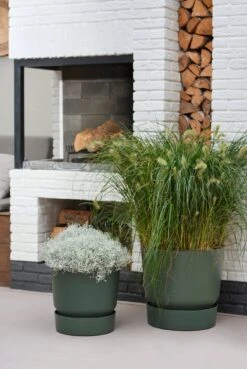 Elho Greenville Topf Rund 30 Cm, Laubgrün 17 Elho Greenville Topf Rund 30 Cm, Laubgrün -Deutschland Gartenbedarf Verkäufe 2024 elho greenville topf rund 30 cm vaextgroen 1589652 de