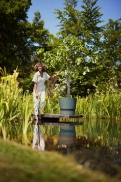 Elho Greenville Topf Rund 30 Cm, Laubgrün 18 Elho Greenville Topf Rund 30 Cm, Laubgrün -Deutschland Gartenbedarf Verkäufe 2024 elho greenville topf rund 30 cm vaextgroen 1589654 de