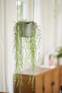 Elho Hängetopf 18cm B.for Swing, Steingrün -Deutschland Gartenbedarf Verkäufe 2024 elho haengetopf 18cm bfor swing steingruen 1345762 de