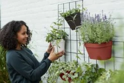 Elho Loft Urban Green Wall "Duo" 28 Cm, Weiss 12 Elho Loft Urban Green Wall "Duo" 28 Cm, Weiss -Deutschland Gartenbedarf Verkäufe 2024 elho loft urban green wall duo 28 cm 1670225 de