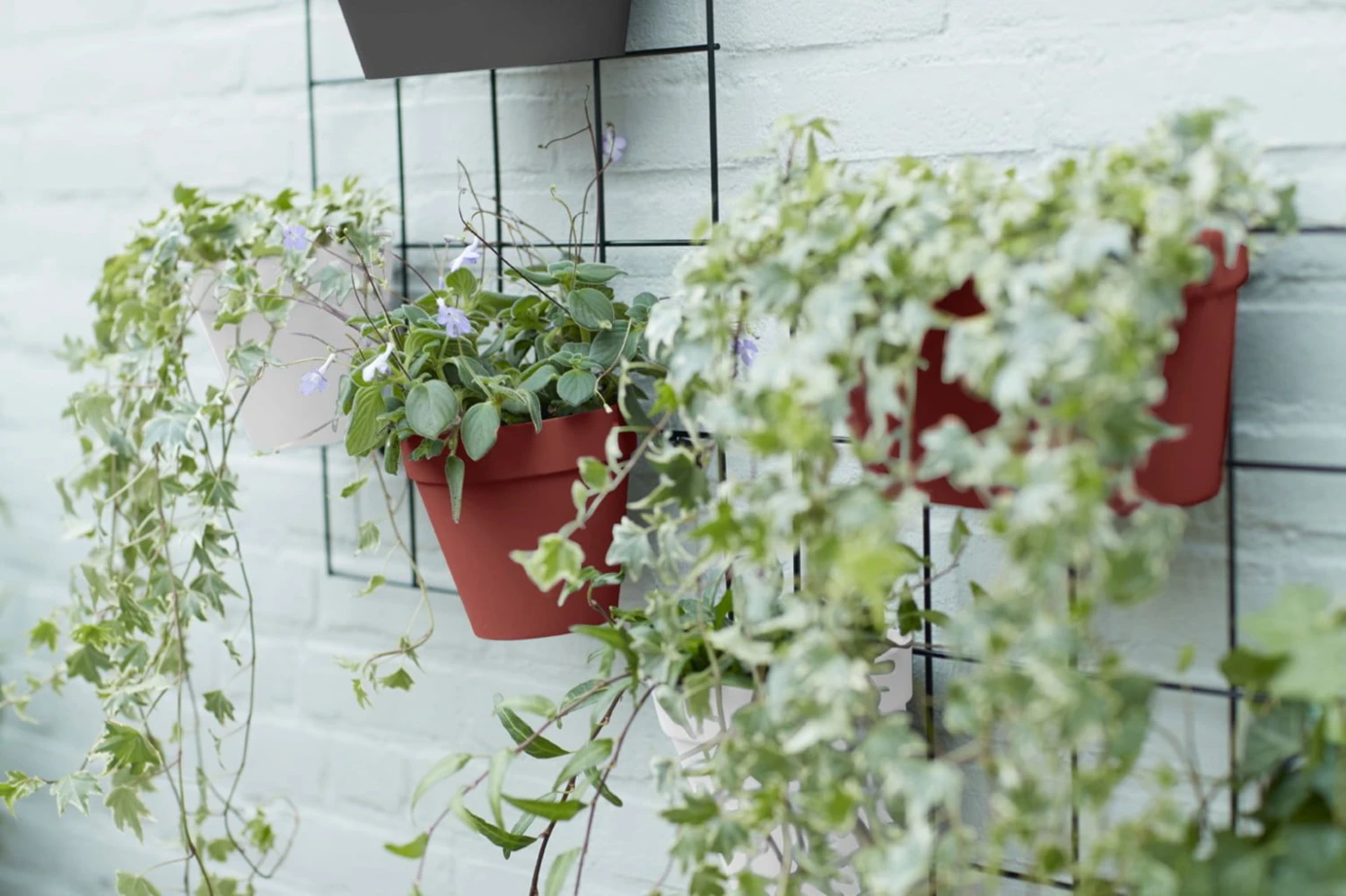 Elho Loft Urban Green Wall "Duo" 28 Cm, Weiss 8 Elho Loft Urban Green Wall "Duo" 28 Cm, Weiss – Bild 6