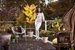 Elho Loft Urban Rund 30, Warmes Grau 13 Elho Loft Urban Rund 30, Warmes Grau -Deutschland Gartenbedarf Verkäufe 2024 elho loft urban rund 30 varmgraa 1666884 de