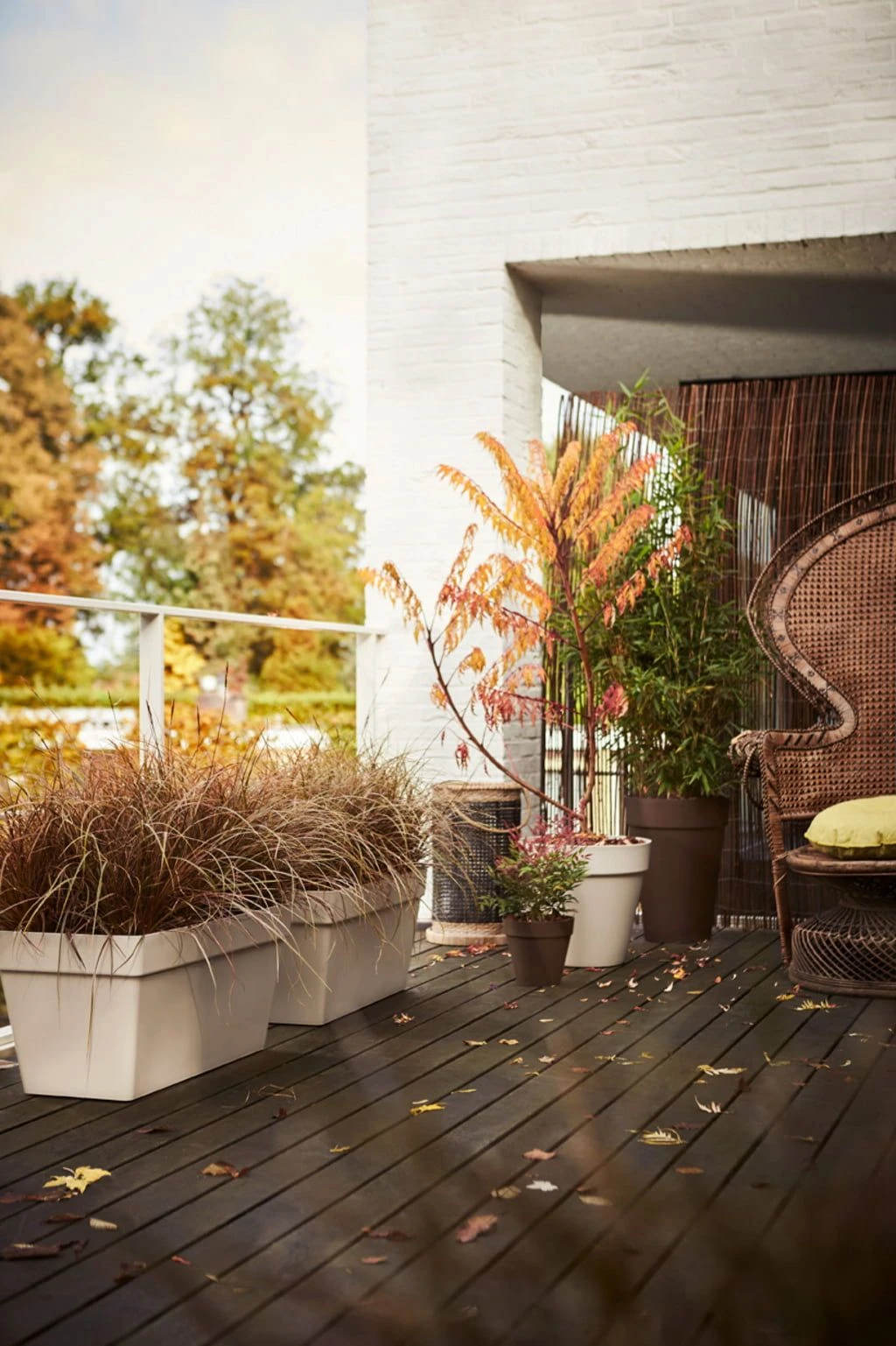 Elho Loft Urban Rund 30, Warmes Grau 4 Elho Loft Urban Rund 30, Warmes Grau – Bild 2