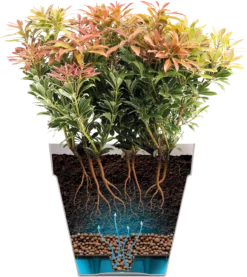 Elho Loft Urban Rund Hoch 28, Anthrazit 16 Elho Loft Urban Rund Hoch 28, Anthrazit -Deutschland Gartenbedarf Verkäufe 2024 elho loft urban rund hoch 28 1589894 de