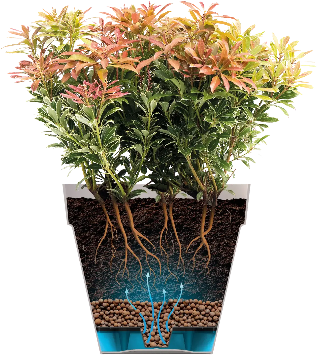 Elho Loft Urban Rund Hoch 28, Anthrazit 8 Elho Loft Urban Rund Hoch 28, Anthrazit – Bild 6