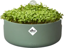 Elho Microgreens Anzuchtgefäß "magic Microgreens", Laubgrün 23 Elho Microgreens Anzuchtgefäß "magic Microgreens", Laubgrün -Deutschland Gartenbedarf Verkäufe 2024 elho microgreens anzuchtgefaess magic microgreens verde foglia 1405047 de