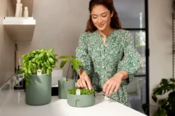 Elho Microgreens Anzuchtgefäß "magic Microgreens", Laubgrün 21 Elho Microgreens Anzuchtgefäß "magic Microgreens", Laubgrün -Deutschland Gartenbedarf Verkäufe 2024 elho microgreens anzuchtgefaess magic microgreens verde foglia 1405075 de