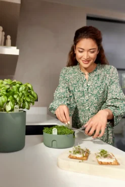 Elho Microgreens Anzuchtgefäß "magic Microgreens", Laubgrün 27 Elho Microgreens Anzuchtgefäß "magic Microgreens", Laubgrün -Deutschland Gartenbedarf Verkäufe 2024 elho microgreens anzuchtgefaess magic microgreens verde foglia 1405082 de