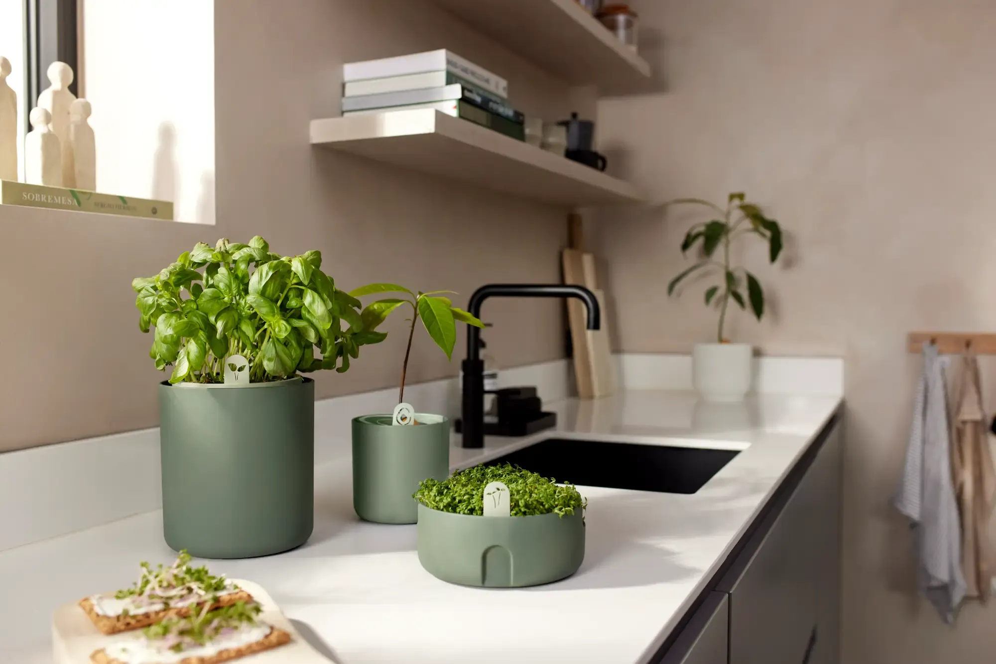 Elho Microgreens Anzuchtgefäß "magic Microgreens", Laubgrün 3 Elho Microgreens Anzuchtgefäß "magic Microgreens", Laubgrün