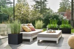 Elho Pflanzkasten Vivo Next Lang - 60 Cm, Living Schwarz -Deutschland Gartenbedarf Verkäufe 2024 elho pflanzkasten vivo next lang 60 cm levande svart 1471750 de