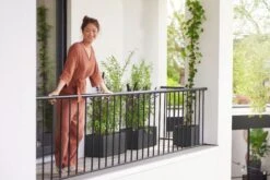 Elho Pflanzkasten Vivo Next Lang - 60 Cm, Living Schwarz -Deutschland Gartenbedarf Verkäufe 2024 elho pflanzkasten vivo next lang 60 cm levande svart 1471767 de