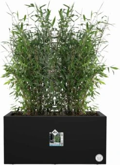 Elho Pflanzkasten Vivo Next Lang - 80 Cm, Living Schwarz -Deutschland Gartenbedarf Verkäufe 2024 elho pflanzkasten vivo next lang 80 cm living schwarz 1247857 de